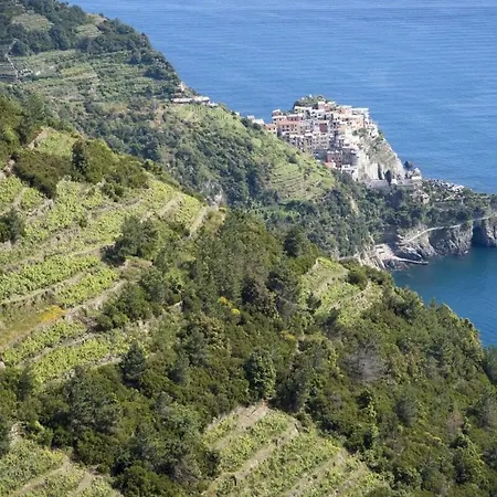 ゲストハウス La Casa Fra Gli Ulivi Luxury With Pool Near Cinque Terre And Tuscany