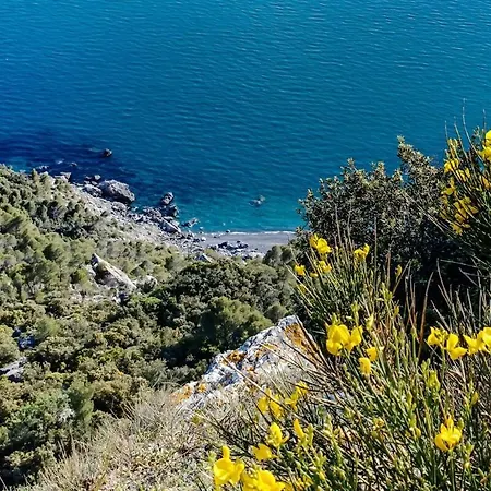 La Casa Fra Gli Ulivi Luxury With Pool Near Cinque Terre And Tuscany 4* Montemarcello