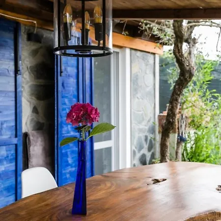 La Casa Fra Gli Ulivi Luxury With Pool Near Cinque Terre And Tuscany ゲストハウス 4*