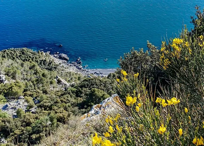 La Casa Fra Gli Ulivi Luxury With Pool Near Cinque Terre And Tuscany 4* モンテマルチェッロ